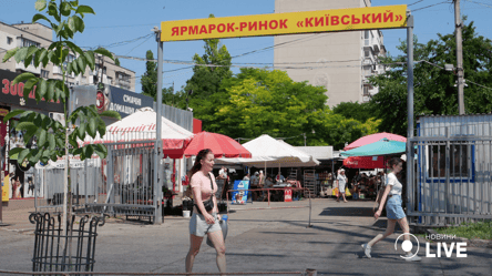Чорниця для зору, аґрус — від температури: поради ринку "Київський" - 285x160