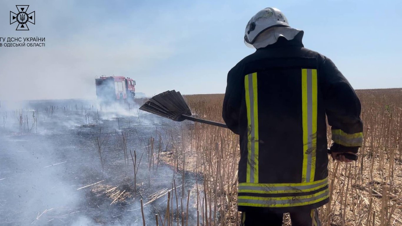 Пожарная опасность: за сутки в Одесской области сгорело 25 га земли