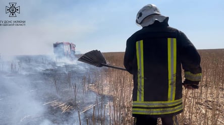 Пожарная опасность: за сутки в Одесской области сгорело 25 га земли - 285x160