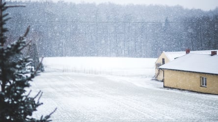 Потеря права собственности на землю — можно ли получить компенсацию - 285x160