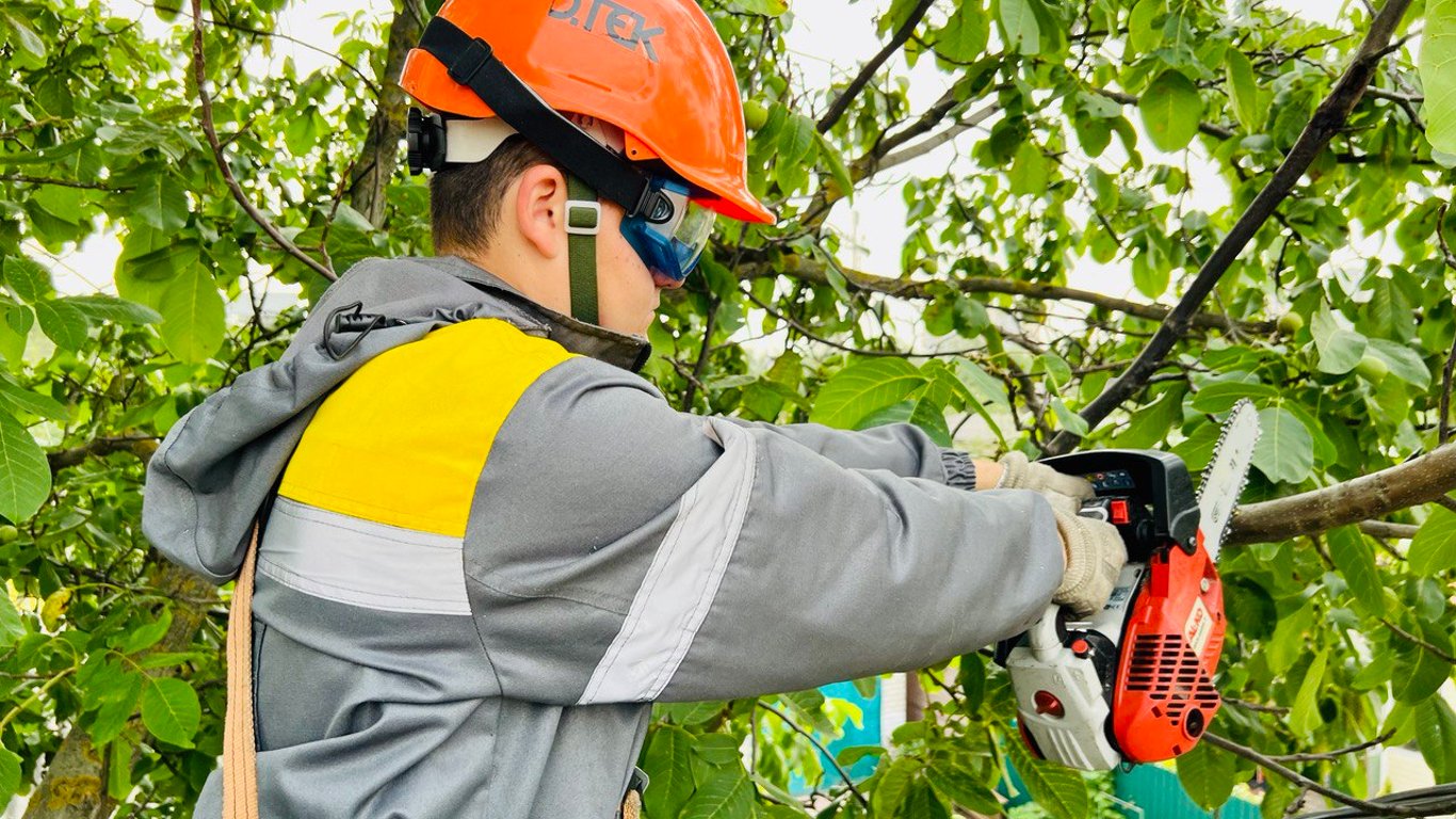 Перед обрезкой веток деревьев возле электросетей в Одесской области следует обратиться в ДТЭК