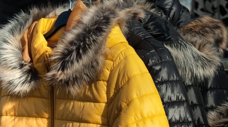 Манжети пуховика чисті за 15 хвилин — без прання та зусиль - 285x160