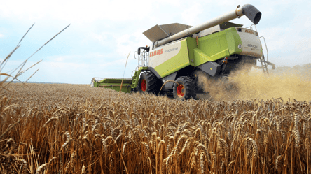 Кукурудза, пшениця і соя — що сталося з цінами на агроринку - 290x160