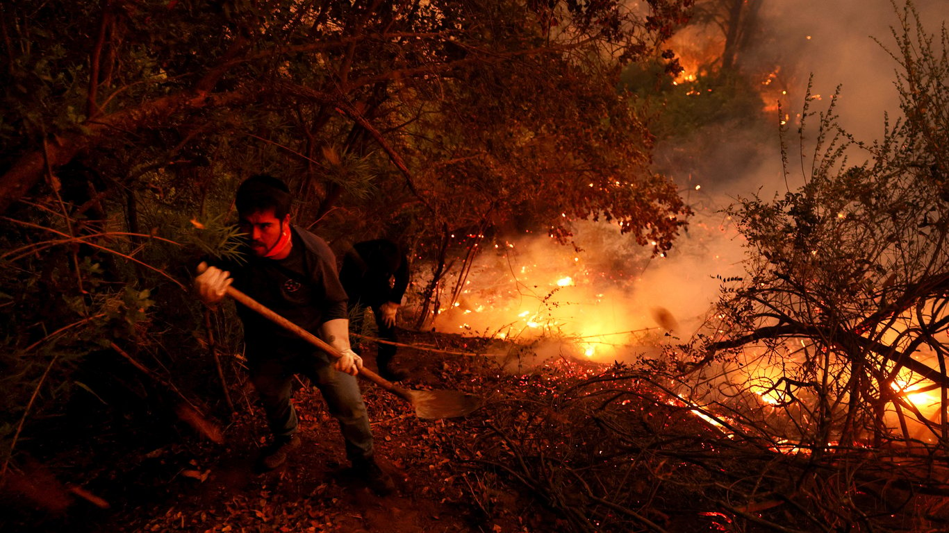 Лесные пожары в Чили. Фоторепортаж