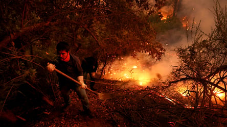 Чилі у вогні: кілька днів у країні вирують масштабні лісові пожежі - 285x160