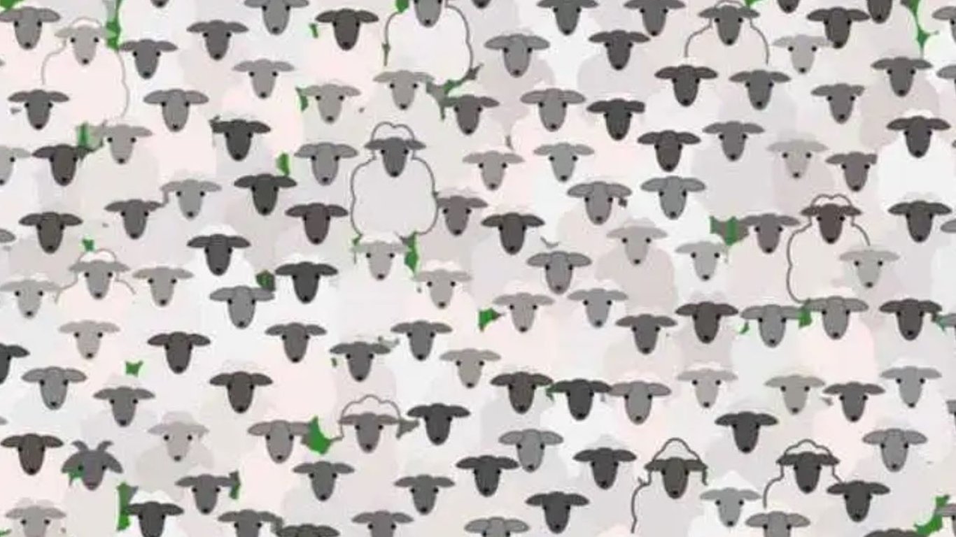 Оптическая головоломка: только один из 100 найдет козлика среди стада овец
