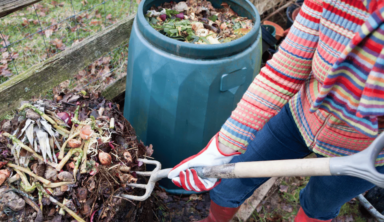 Компостная куча