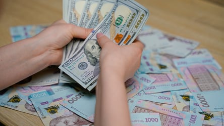 Долар може сягнути 54,5 грн: експерт озвучив ризики для українців - 290x166
