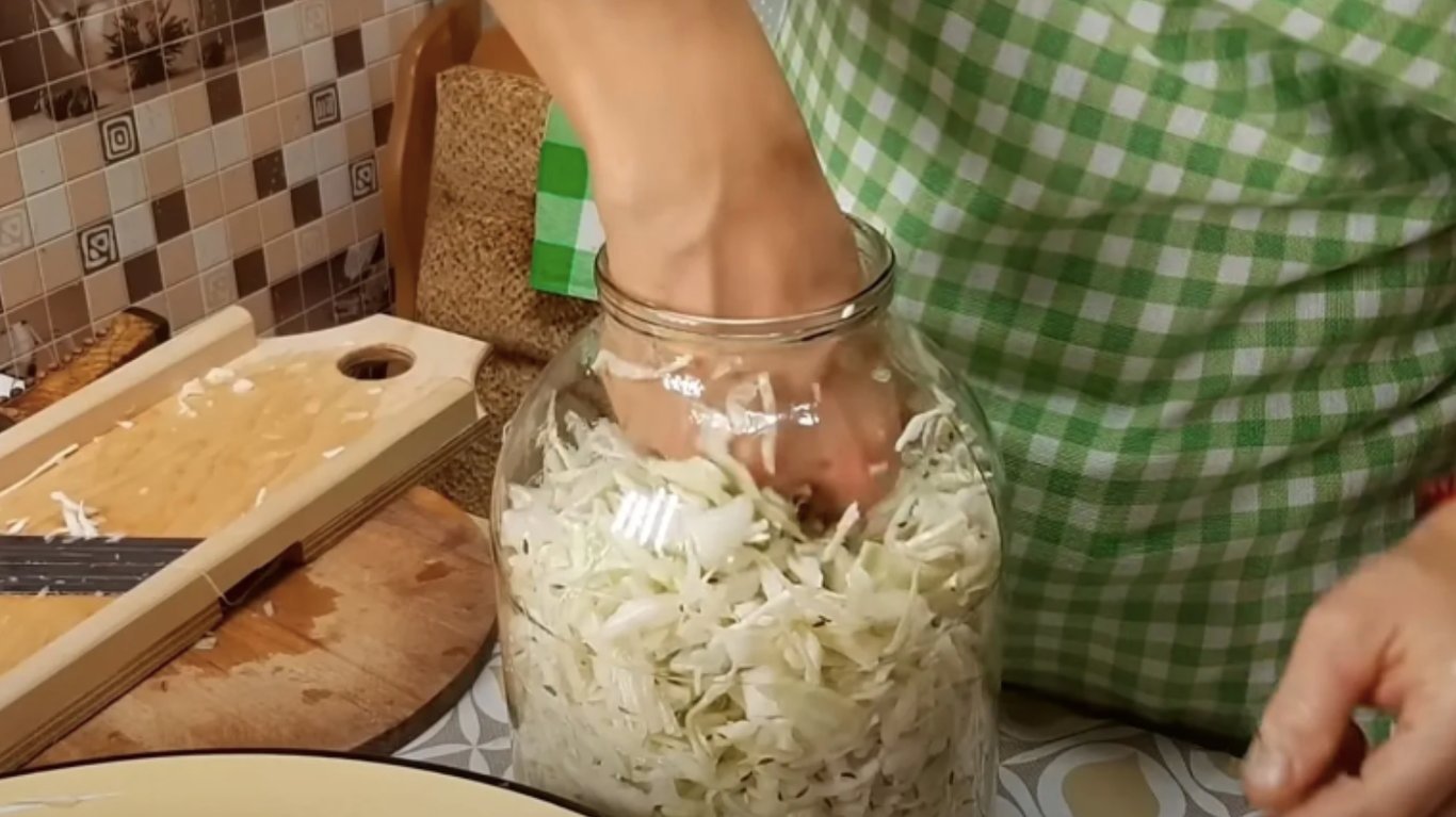 квашена капуста