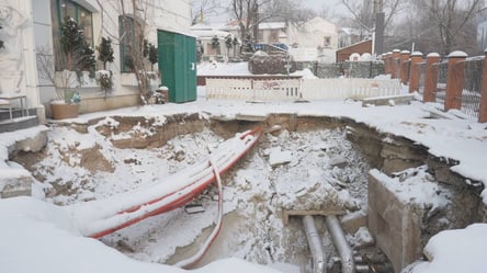 Киевлянке упавшей в кипяток пересадили 25% кожи в Германии — интервью - 304x171