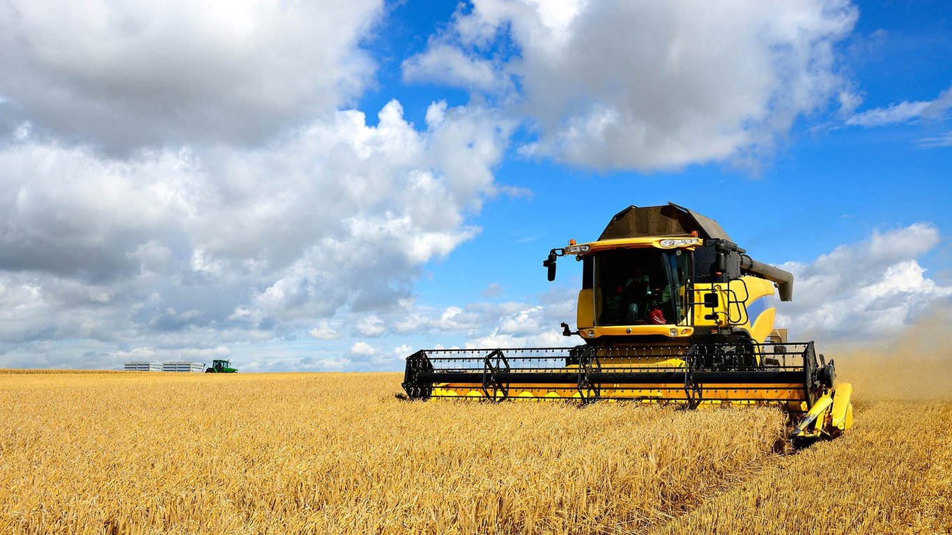 Цены на зерновые в Украине по состоянию на 12 сентября 2023 года