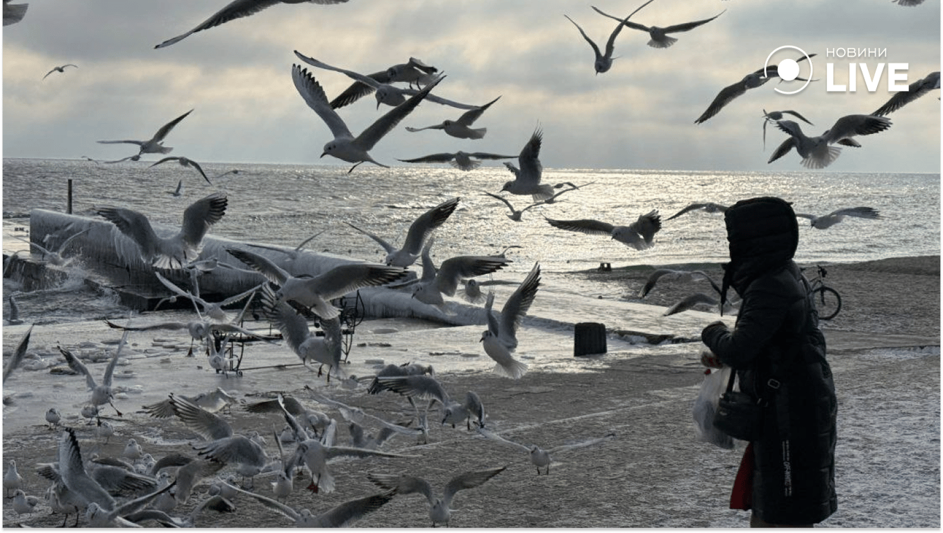 Люди гуляють зимовим узбережжям