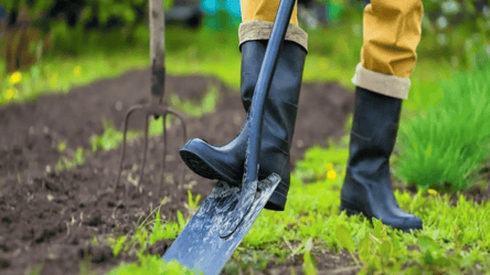 Лунный посевной календарь на ноябрь 2025 — какие дни урожайные - 285x160