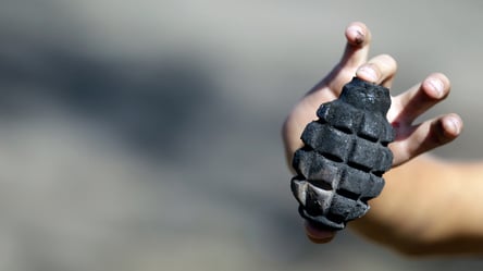 В Виннице мужчина пугал ТЦК муляжом гранаты из 3D-принтера: его судили - 290x166