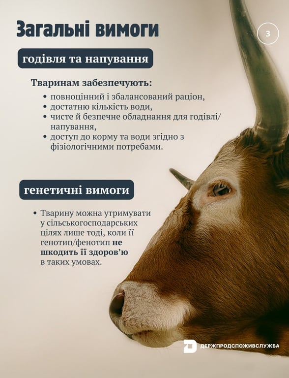 Нові правила утримання тварин