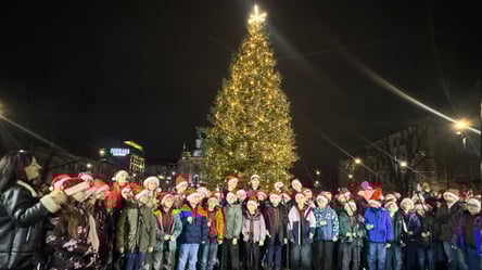 Во Львове зажгли новогоднюю елку — видео - 304x171