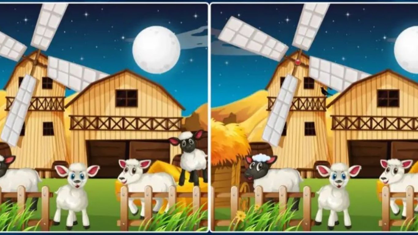 Оптична головоломка: лише унікум знайде п'ять відмінностей між малюнками ферми