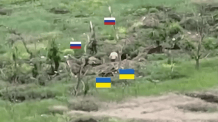 На Запорожском направлении россияне расстреляли группу украинских военнопленных — видео - 285x160