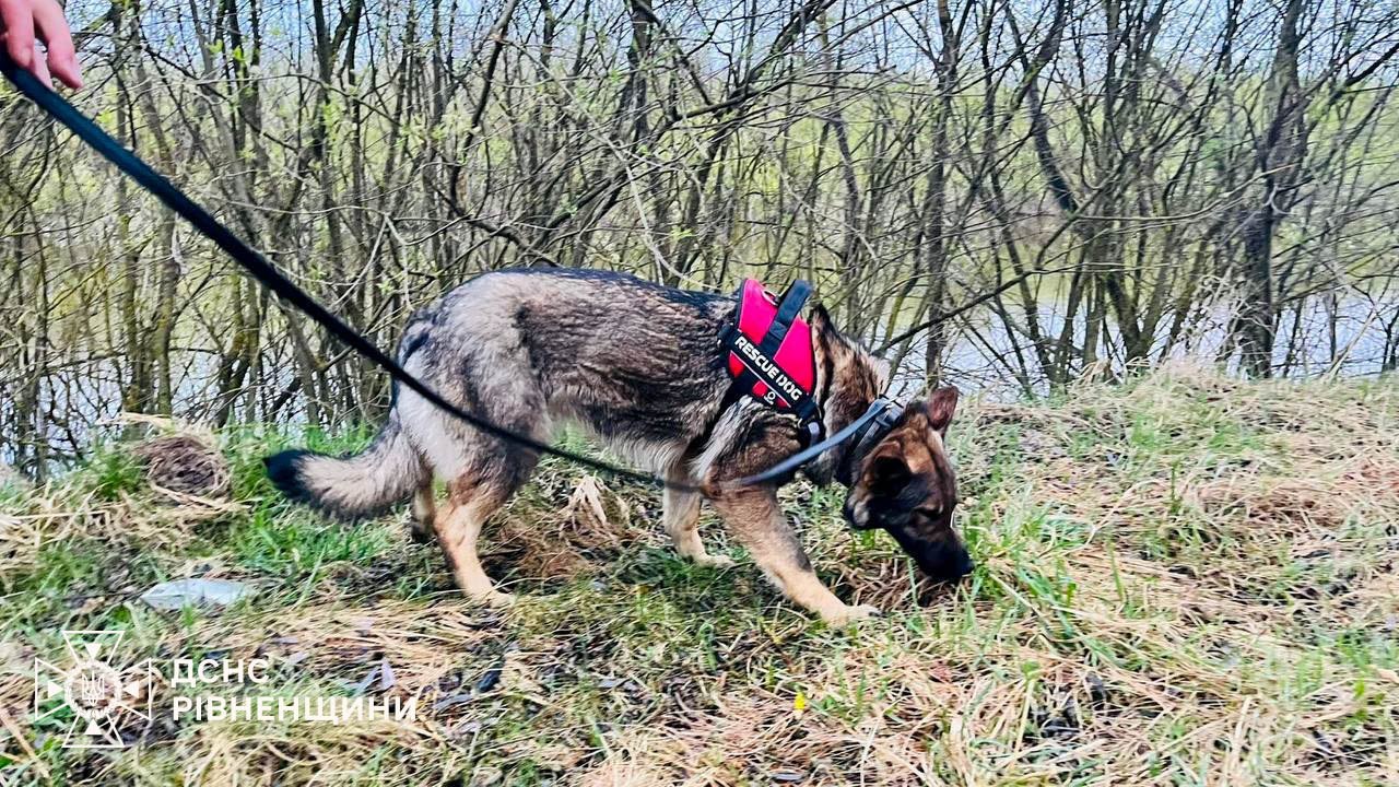 Пошук дитини на Рівненщині