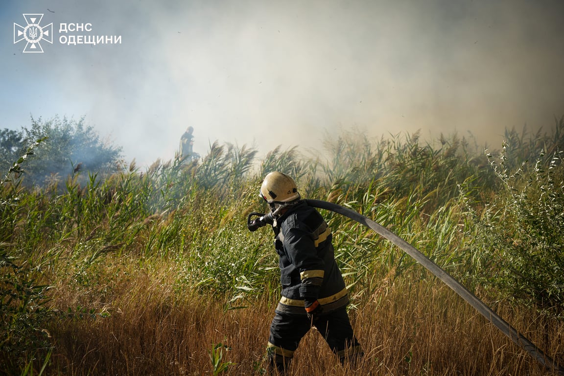 В Одесі рятувальники та добровольці тушили масштабну пожежу - фото 3