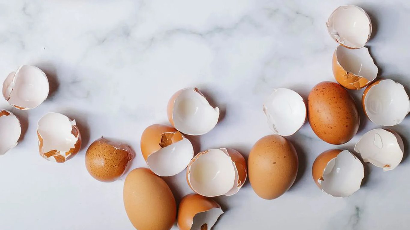 Какие растения можно подкармливать яичной скорлупой