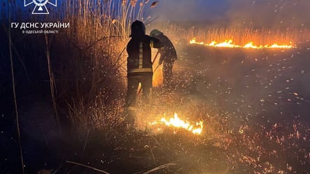 В Одесі горіли поля фільтрації: на ліквідацію знадобилося понад три години - 285x160