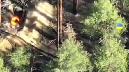 ЗСУ показали, як взяли у полон окупантів на Донеччині — відео - 285x160