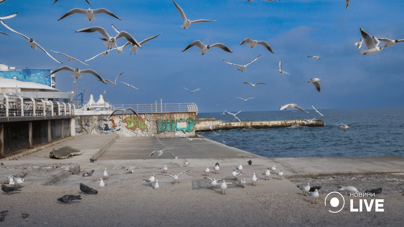 Температура морской воды в Черном море