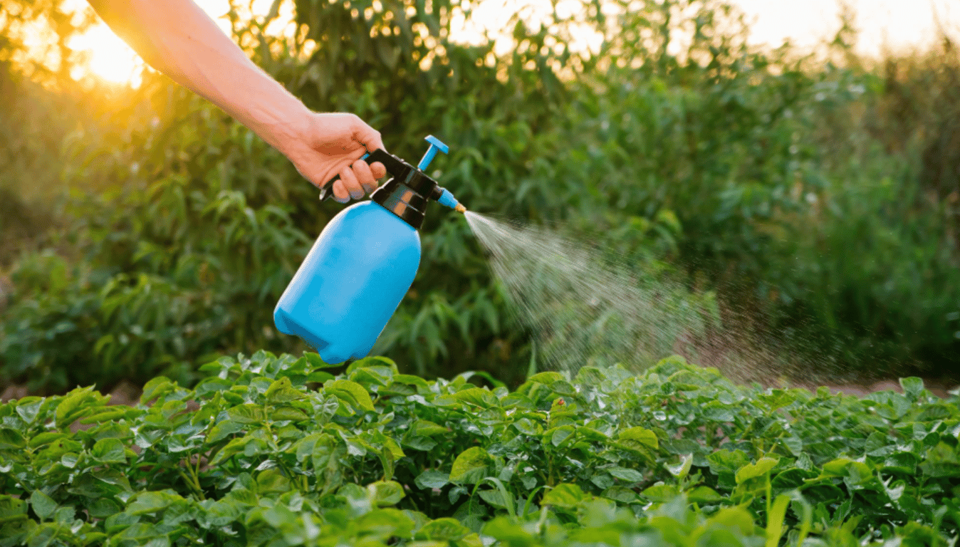 Обработка картошки