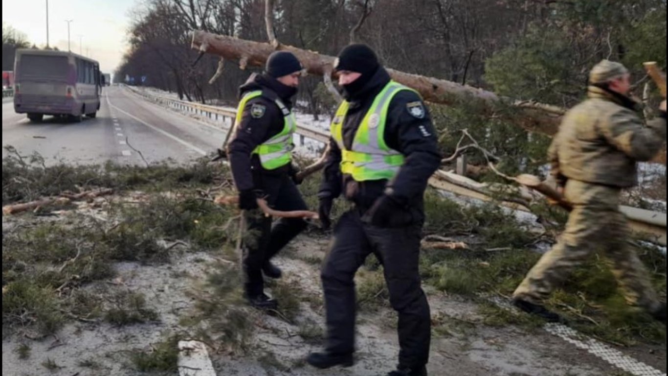 Упавшее дерево на Киевщине заблокировало движение транспорта - фото