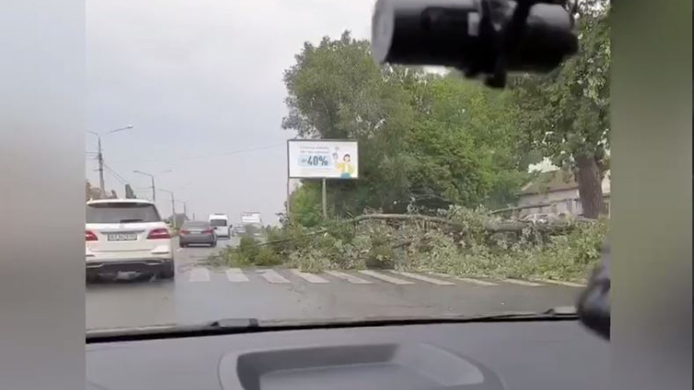 У Харкові впало дерево і заблокувало дорогу на Академіка Павлова