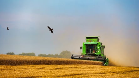 Ціни на зерно в Україні — наприкінці травня стрімко зростає вартість пшениці - 285x160