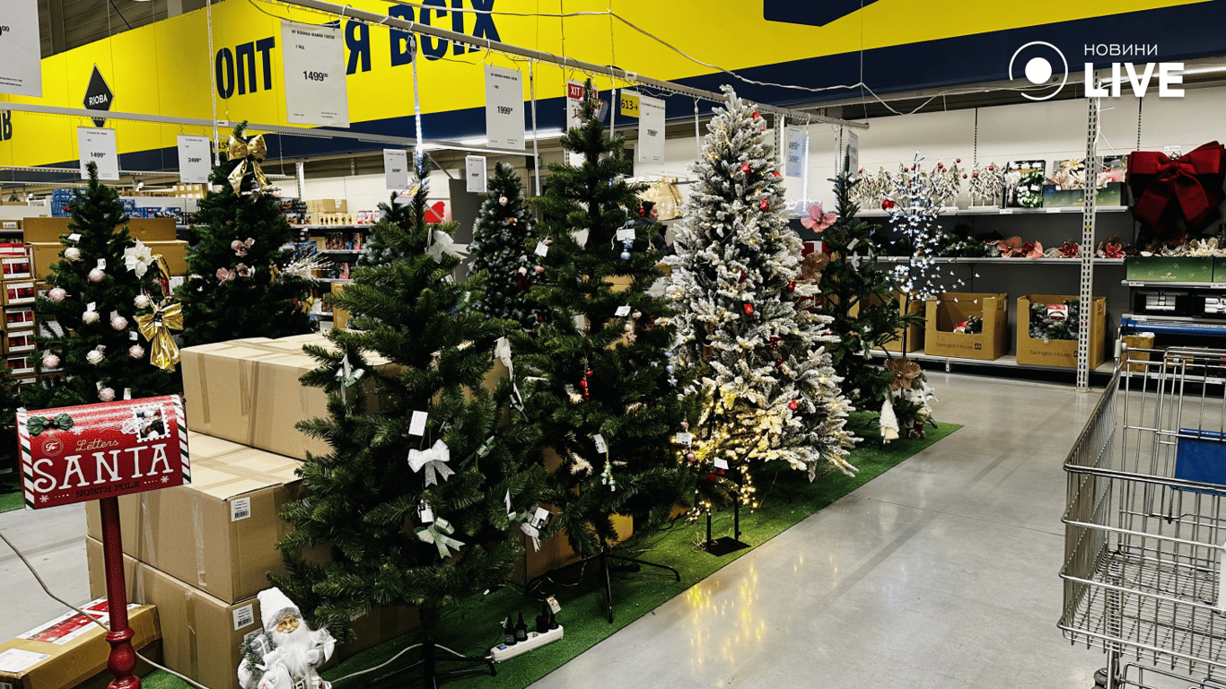 Новорічний відділ METRO з соснами та ялинками, Одеса