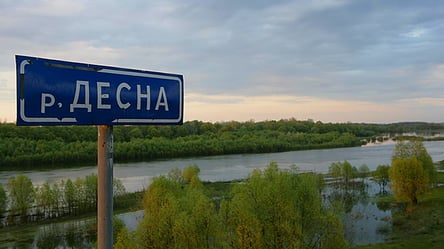 Держінспекція перевірила якість води у Десні на Київщині — що виявили екологи - 290x166