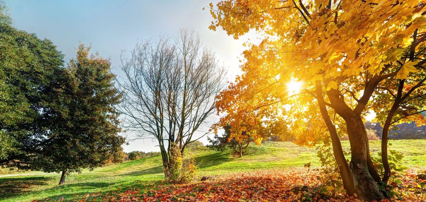 Когда наступит осеннее равноденствие в 2025 году