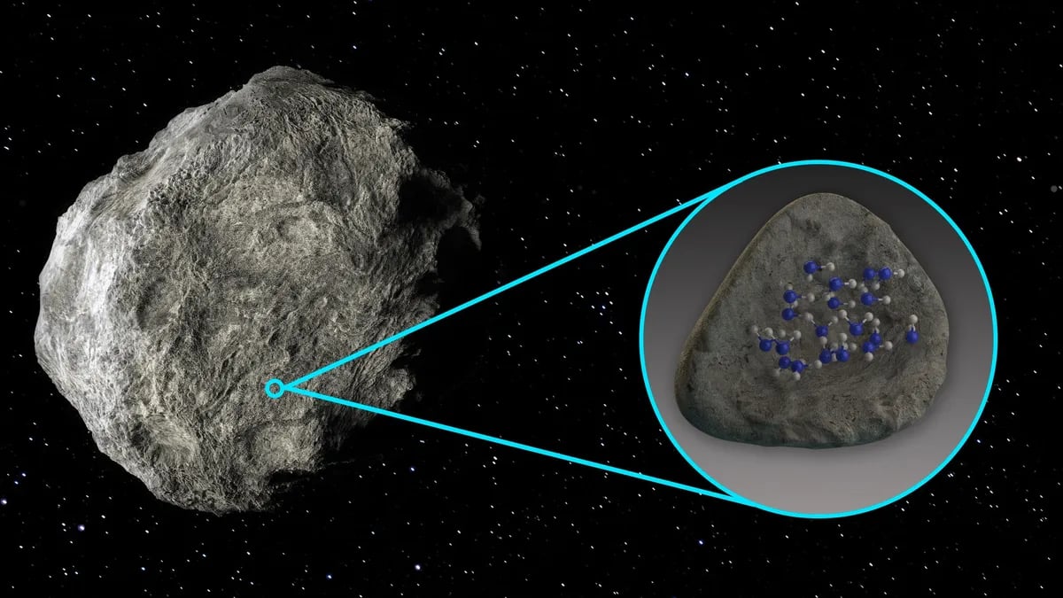 На поверхности двух астероидов обнаружен источник жизни, что говорят ученые.