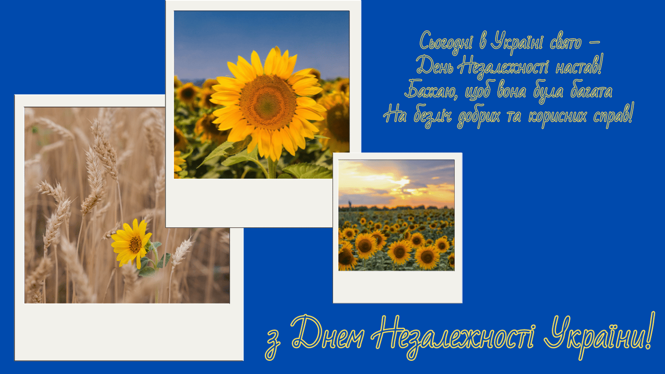 День Незалежності України 2024 — патріотичні листівки