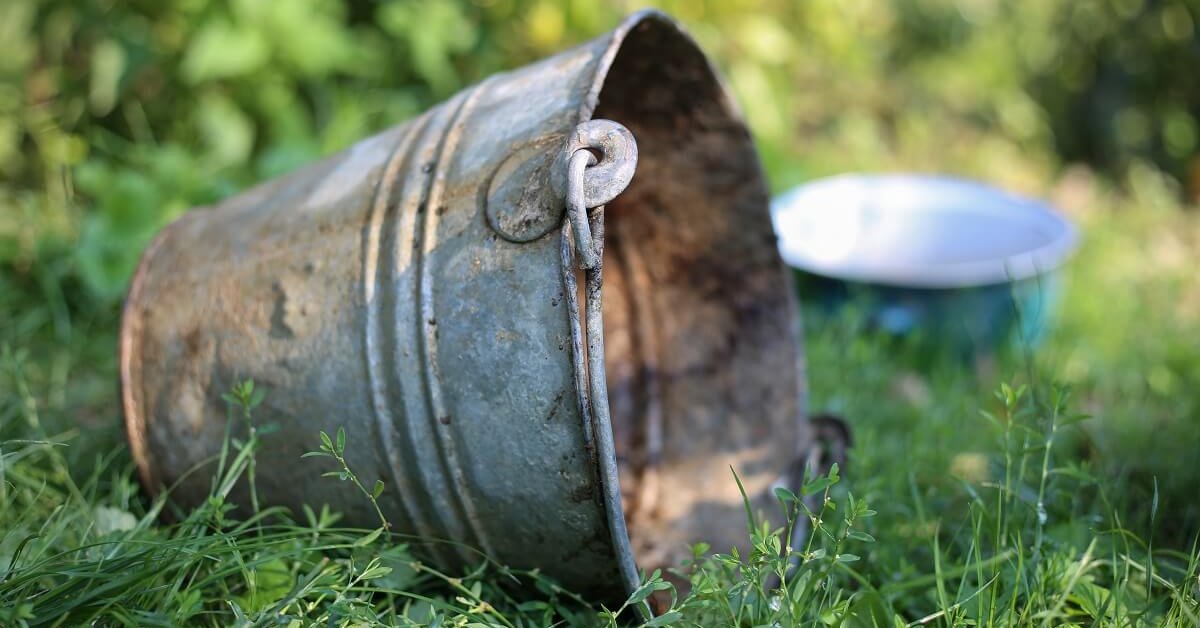 Старое ведро на траве