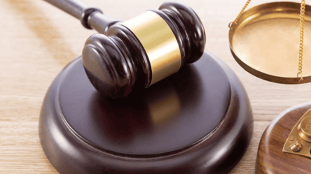 Мужчина спилил деревья будучи в СОЧ — как наказал суд - 285x160