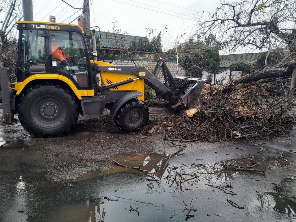 Буревій в Одесі — повалені десятки дерев та гілля - фото 2