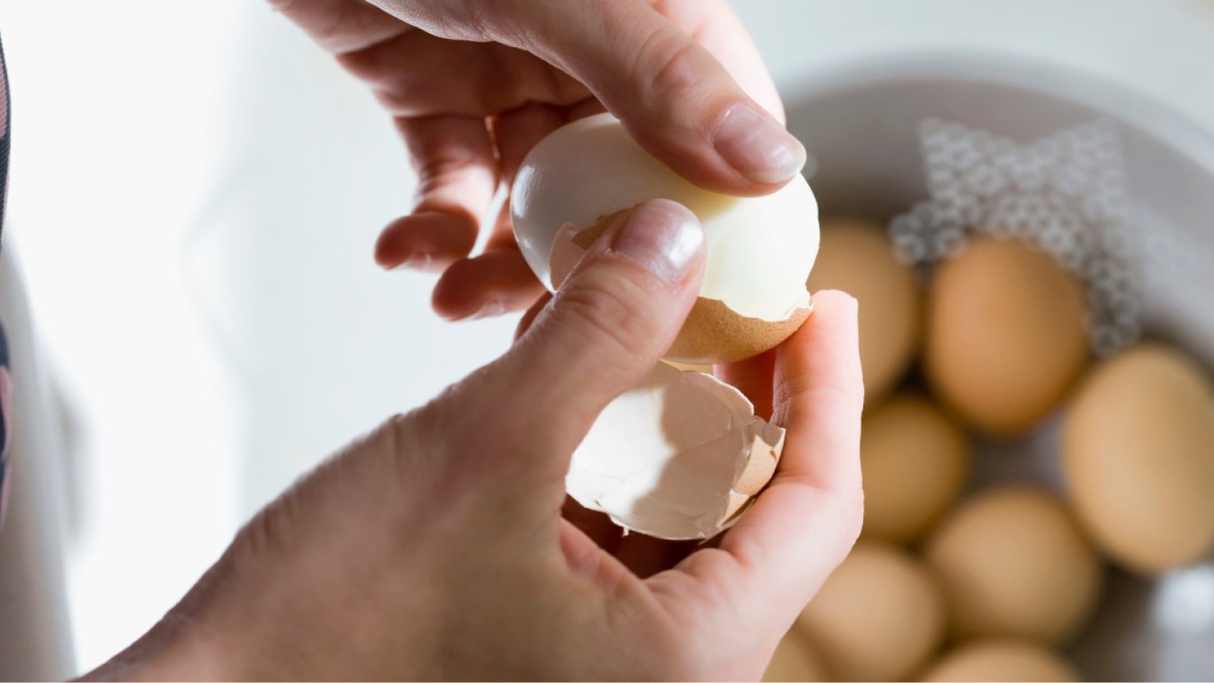 Як використати яєчну шкаралупу на дачі — дієві поради садівникам і городникам