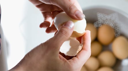 Ніколи не викидайте яєчну шкаралупу — п'ять перевірених порад для саду і городу - 290x166