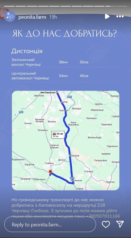 На Буковині відкрили найбільше в Україні поле з півоніями - фото 1