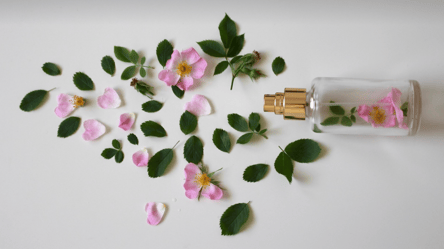 Unforgettable spring fragrances that will win hearts in 2025 - 285x160