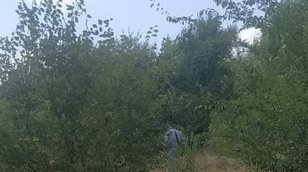 Самоудовлетворялся в кустах: женщину в Харькове домогались среди белого дня - 285x160