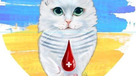 "Помоги защитникам": в Одессе на 21 июля нужны доноры крови - 285x160