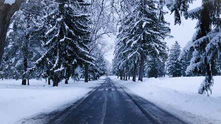 Дорога, как каток: непогода на Львовщине осложнила движение водителям - 285x160