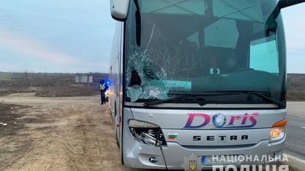 Проломил лобовое стекло: на трассе Одесса – Рени рейсовый автобус сбил пешехода - 285x160