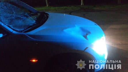 На смерть збив велосипедиста та намагався втекти: на Львівщині затримали винуватця ДТП - 285x160