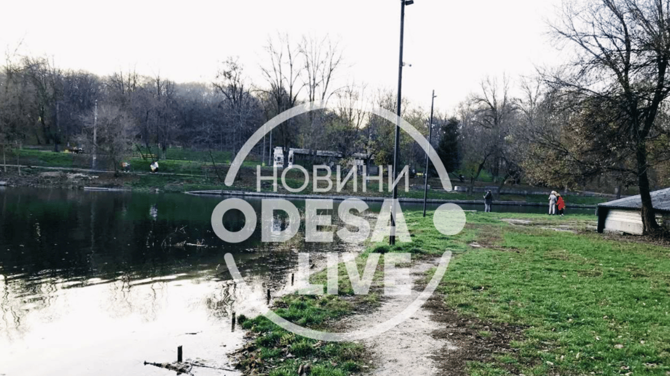 Дюківський парк почнуть реконструювати в 2022 році - Новини Одеси